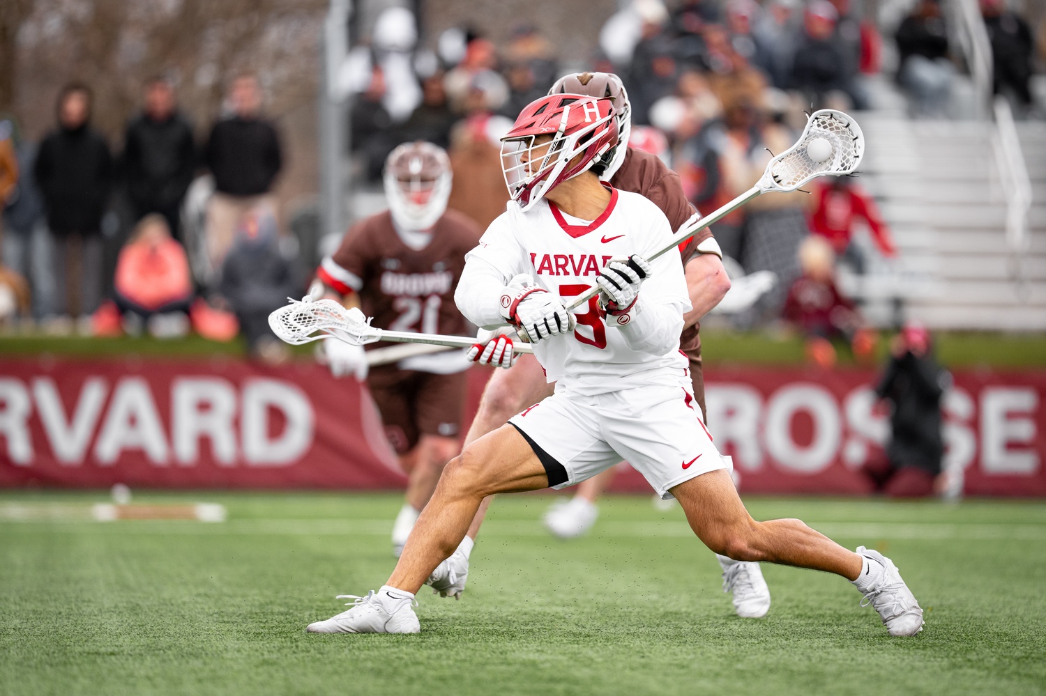 Captain Logan Ip loads up a shot against the Bears.