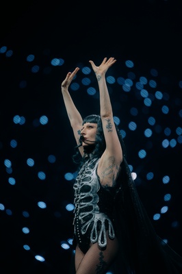 Cover image for Lady Gaga Concert Gallery