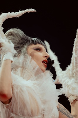 Cover image for Lady Gaga Gallery 2