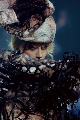 Cover image for Lady Gaga Gallery 3