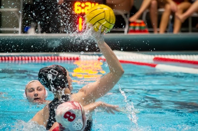 Cover image for Niki Piovan Takes A Shot