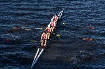 Cover image for Harvard Lights Claim Biglin Bowl