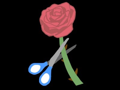 Cover image for 'The Bachlorette' Design