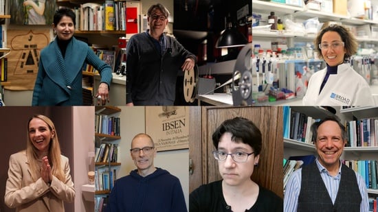 Cover image for 7 Harvard Affiliates on How AI Has Changed the Meaning of Their Work
