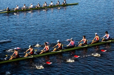 Cover image for Harvard 3Vs Trail Princeton