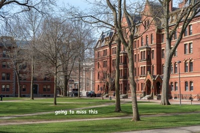 Cover image for A Farewell to Harvard Yard