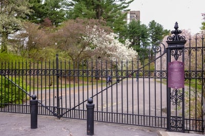 Cover image for In Letter to Garber, Nuns Allege Arboretum Director Has ‘Troubling Pattern’ of Opposing Developments
