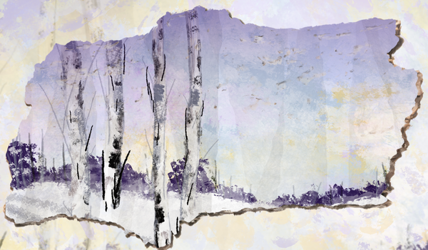 Cover image for The Book — and the Poet — For the Anxious Generation