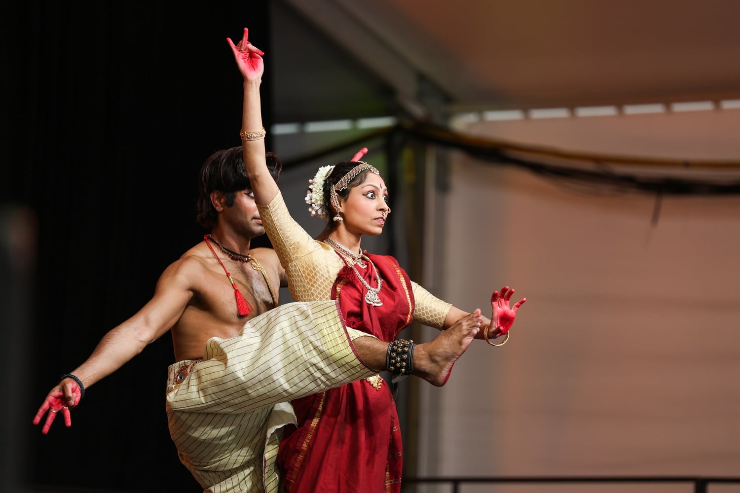 In Photos: Arts Fest Performance Fair 2026 | Multimedia | The Harvard ...