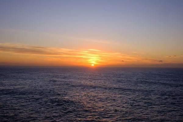 Cover image for Your Reminder That This Is the Ocean