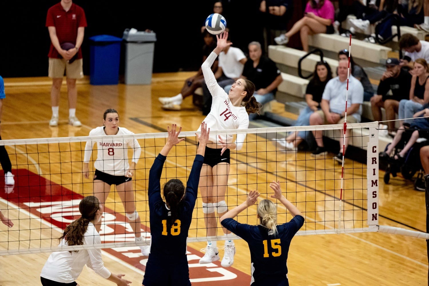 Trubey rises above the net for a kill against Merrimack.