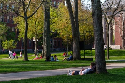 Cover image for Harvard Students Need Summer School