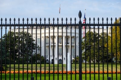 Cover image for White House Behind Gate