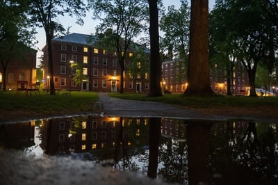 Cover image for What David Foster Wallace Taught Me About Harvard