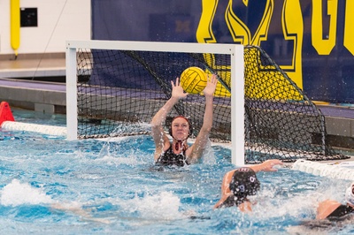 Cover image for Cooper Stonewalls Princeton