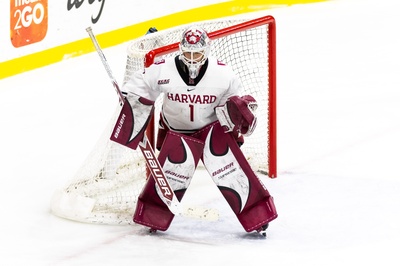 Cover image for Ainsley Tuffy Defends the Net