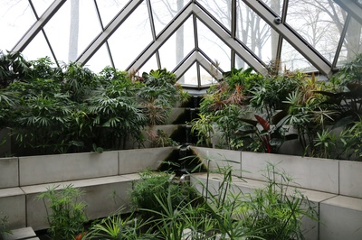 Cover image for The MBA Class of 1959 Chapel’s Terraced Garden