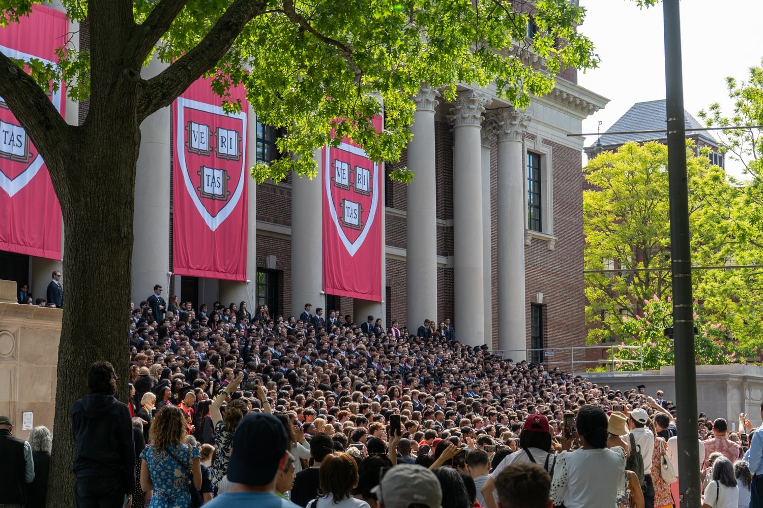 The Harvard College Class of 2026 assembles for a group photo.