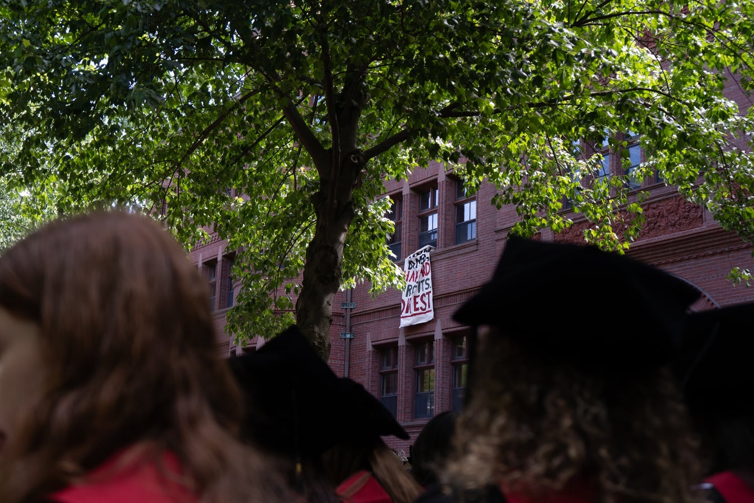 Activists hung a banner from Sever Hall calling on Harvard to divest from Israel.