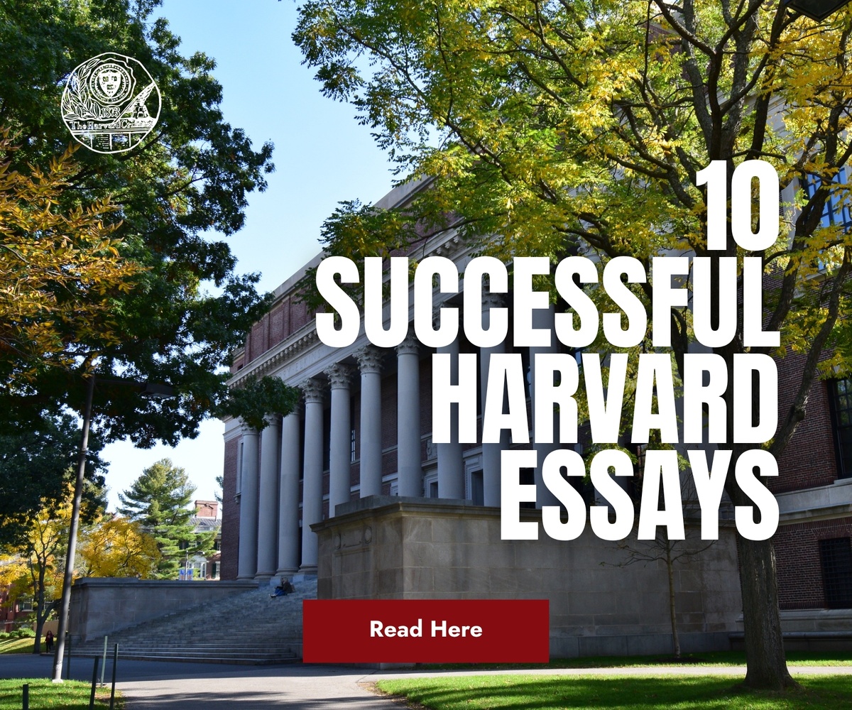 10SHE Interstitial