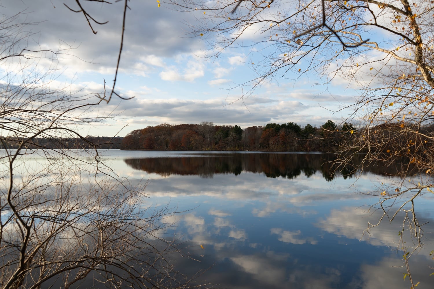Fresh Pond, a reservoir in northwest Cambridge, in November 2025. Authorities are investigating after a body was found in the pond Tuesday morning.