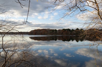 Cover image for Cambridge Police Investigating Body Found in Fresh Pond