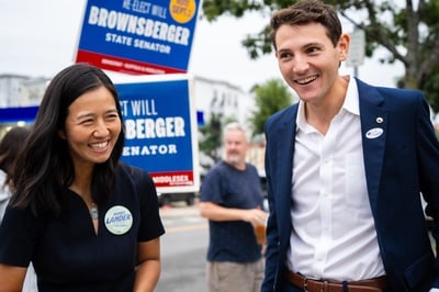 Cover image for Lander and Wu at Polls