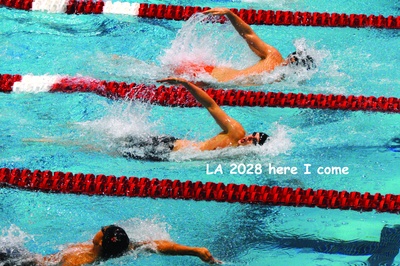 Cover image for Flyby Investigates: Can Harvard Teach Me How to Swim?