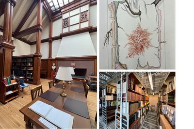 Cover image for Botany library photos