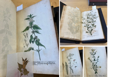 Cover image for Books in the Botanical Library