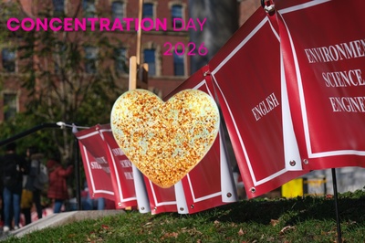 Cover image for Love Island Concentrations