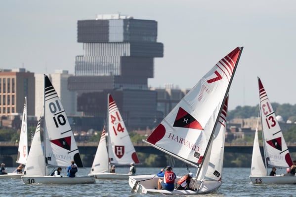 Cover image for Sailing