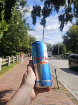 Cover image for necessary redbull