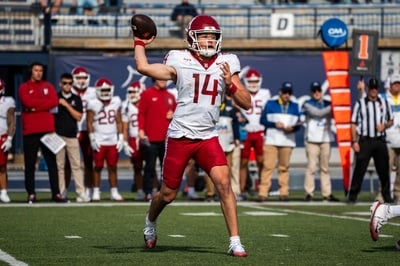 Cover image for Charlie Smith Throws