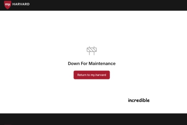Cover image for This is Not MY my.harvard