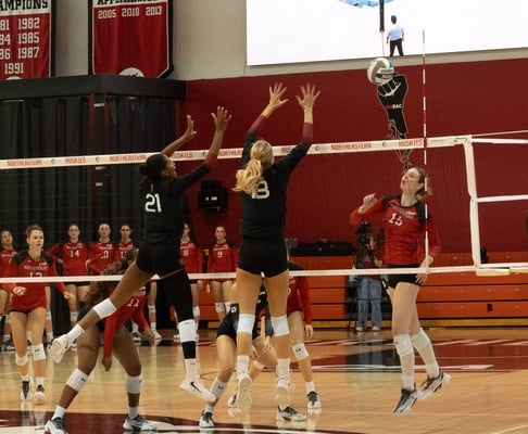 Cover image for Harvard Women’s Volleyball Goes Undefeated in Non-Conference Play for the First Time in Program History