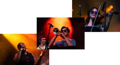 Cover image for Band Members of the TGs