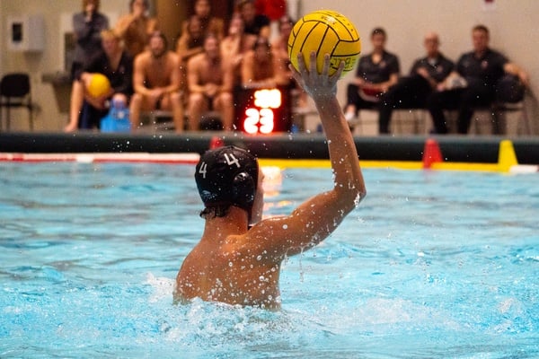 Cover image for Men’s Water Polo Falls to Concordia, Rebounds With Win Over Johns Hopkins at Bruno Invite