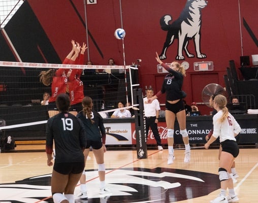 Cover image for Harvard Women’s Volleyball Stays Perfect in Ivy League Opener