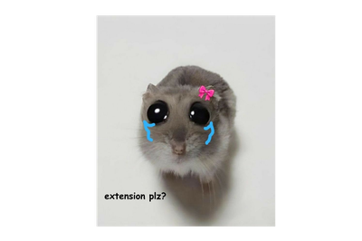 Cover image for Extension please