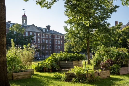 Cover image for The Secret Garden