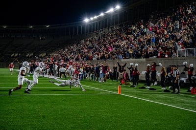 Cover image for The Bailey Bail Out