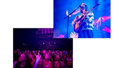 Cover image for Mt. Joy and fans