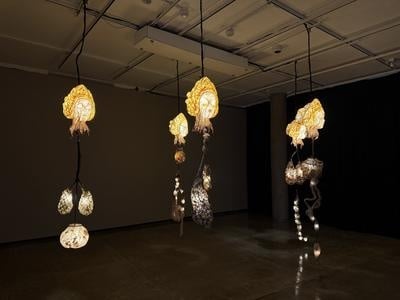 Cover image for ‘Knowledge Is Myth’ Review: A Chimera of Thought, Culture, and History at the Carpenter Center for the Visual Arts