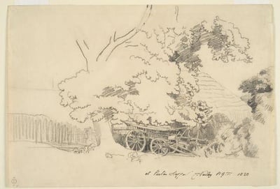 Cover image for ‘On Location: Drawing the Outdoors’: Harvard Art Museums Features the Natural World In Their New Exhibit