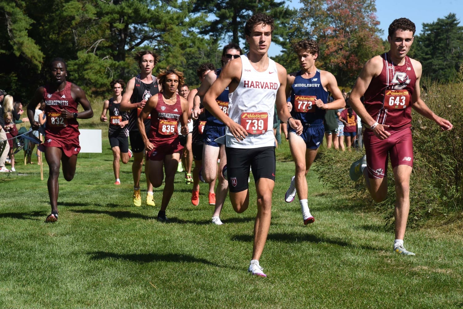 Harvard's men's cross-country team leads the pack of runners