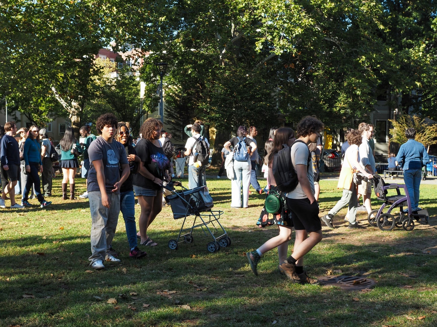 Hundreds of attendees gather for Cambridge's first annual cat tour.