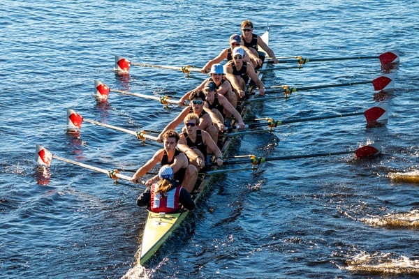 Cover image for Harvard Heavies Hoist Trophies at Head of the Charles