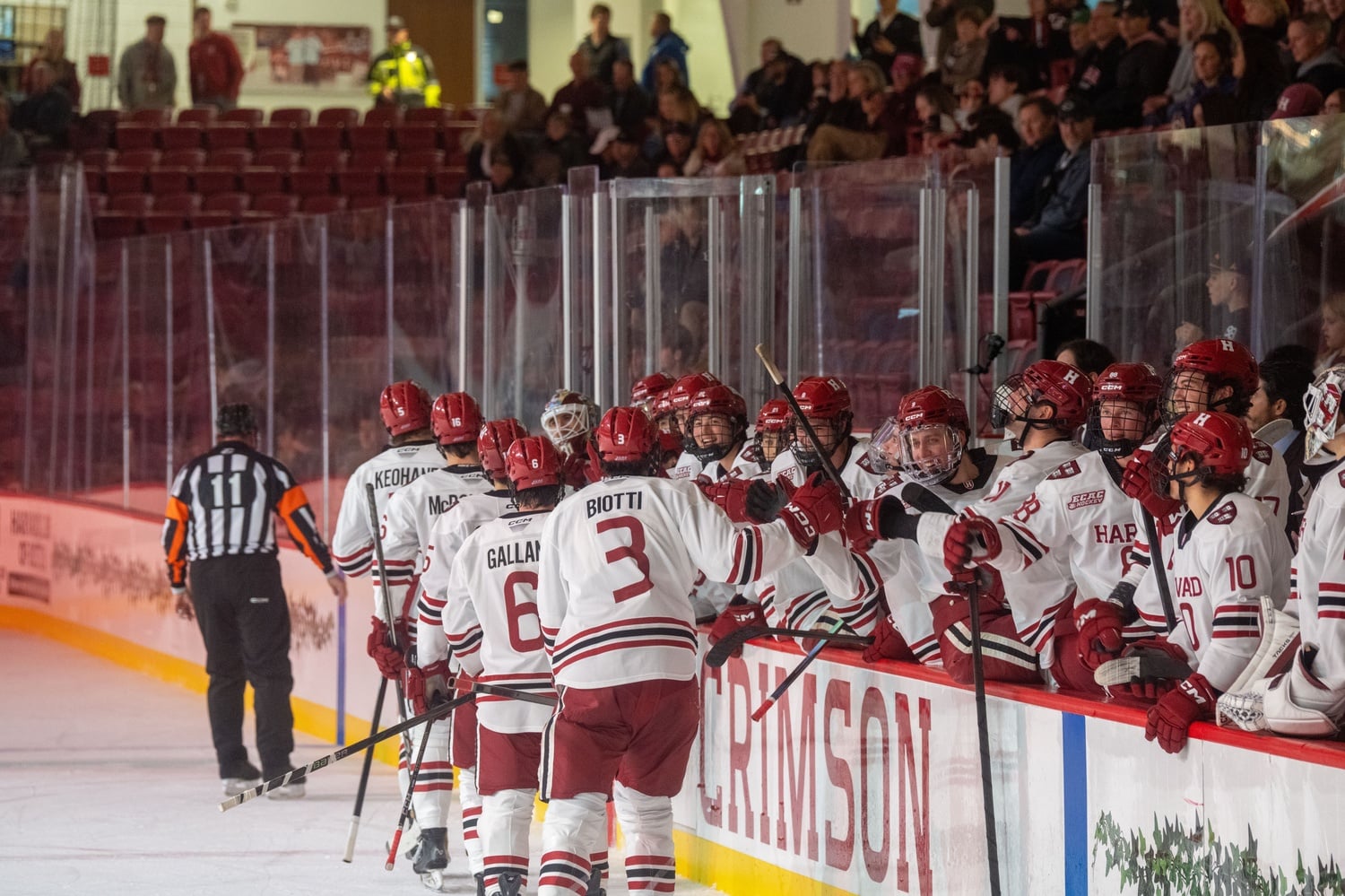 The Harvard men's ice hockey team celebrates a goal during its 4-1 win over Northeastern in an exhibition game. 