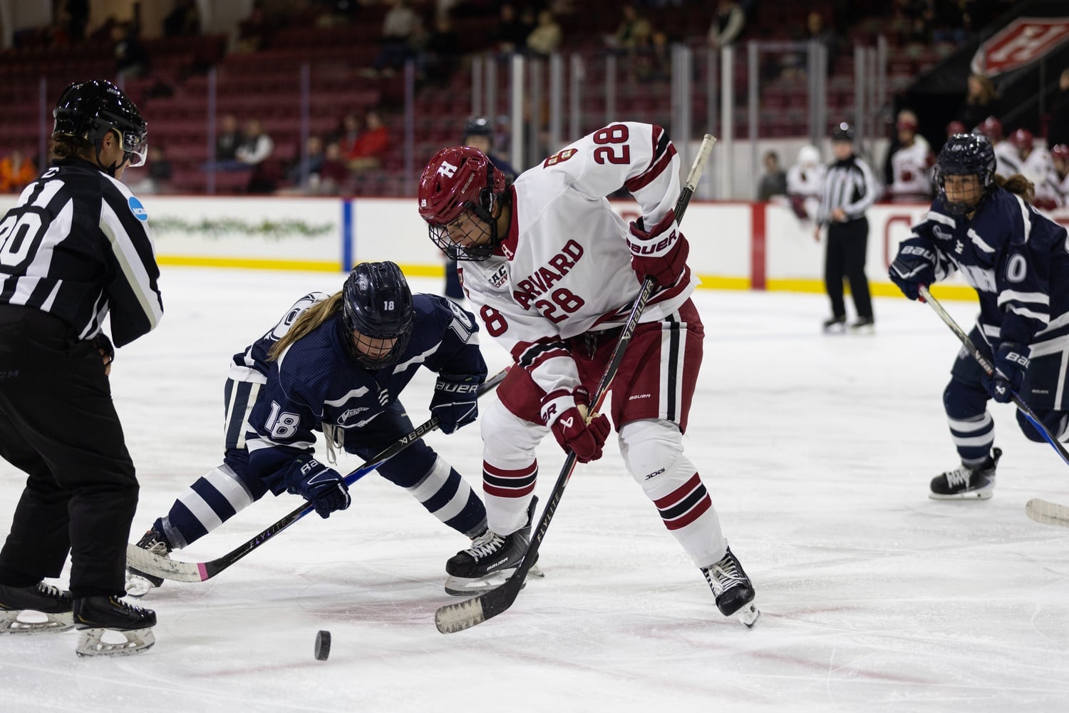 Junior center Ella Lucia wins a faceoff against the University of New Hampshire Wildcats. 